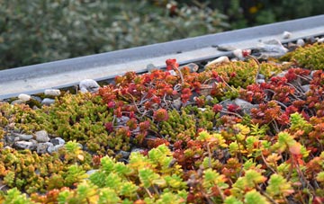 the cost of Streatham green roof installation