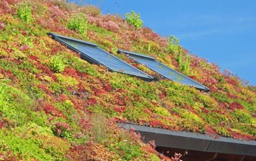 Streatham living roof systems